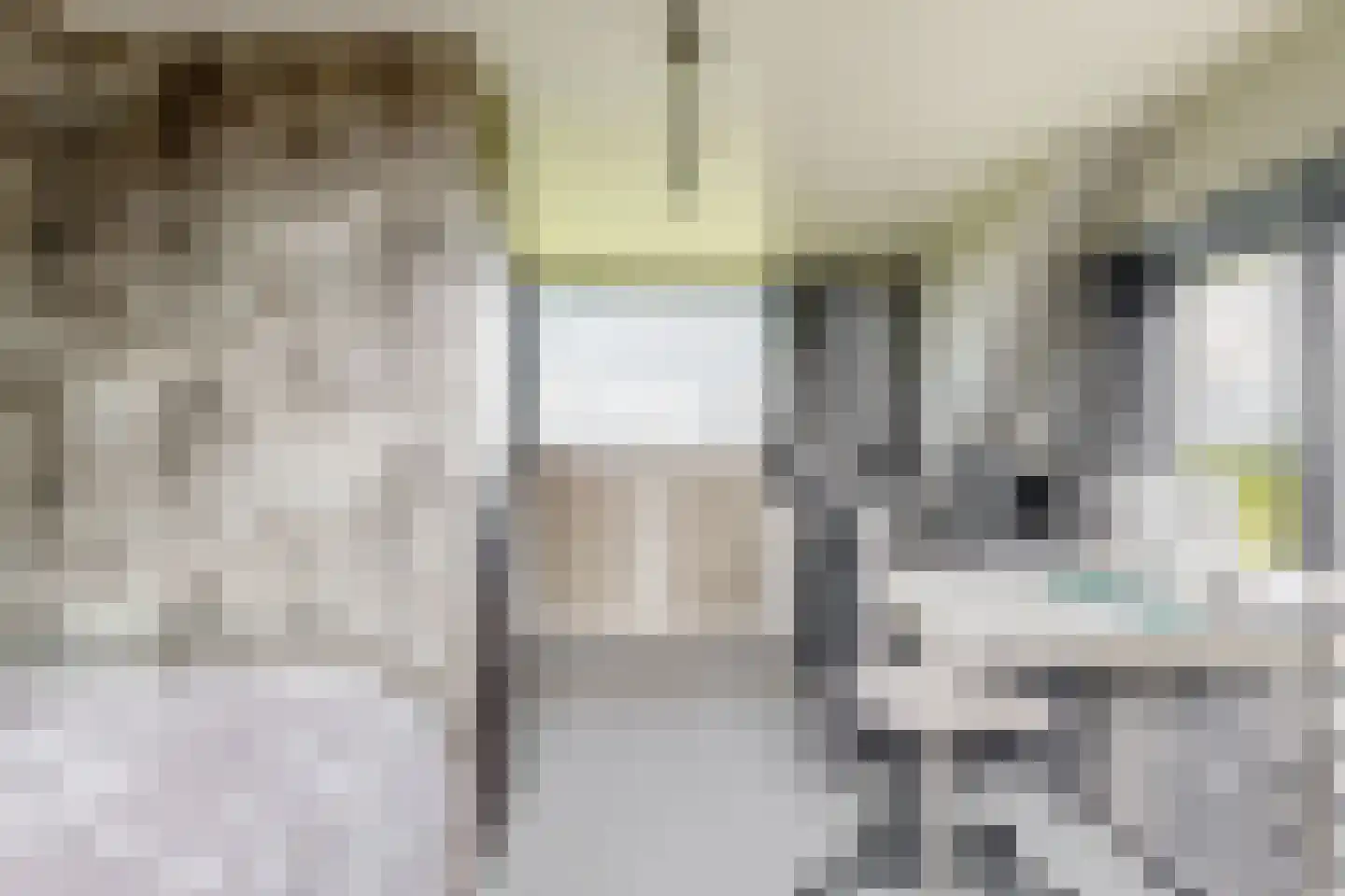 Houtdijkerpad 5 Kamerik thumbnail 25
