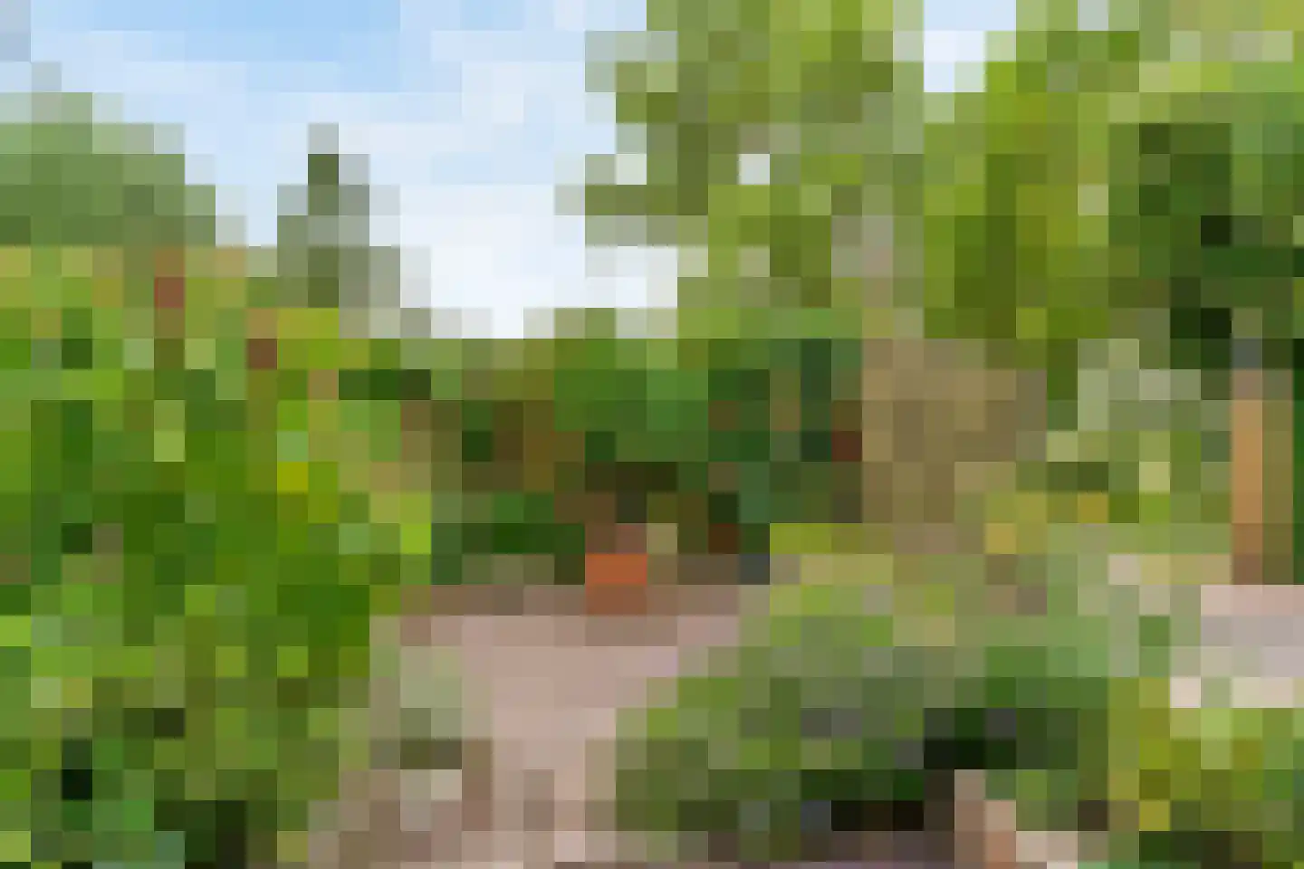 Houtdijkerpad 5 Kamerik thumbnail 38