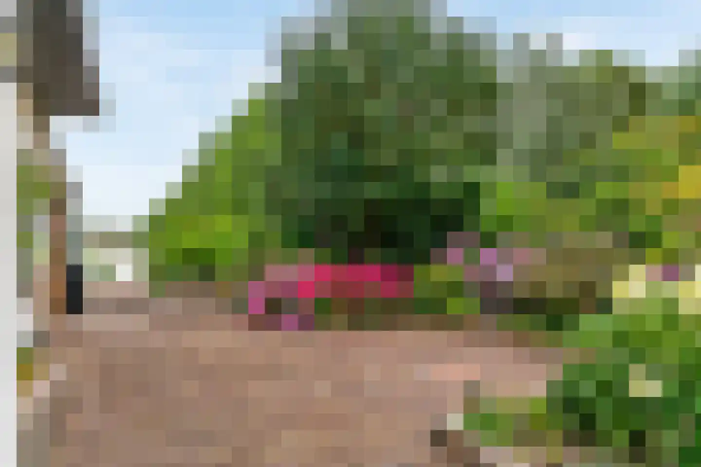 Houtdijkerpad 5 Kamerik thumbnail 39