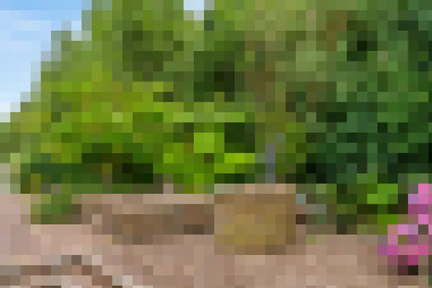 Houtdijkerpad 5 Kamerik thumbnail 40