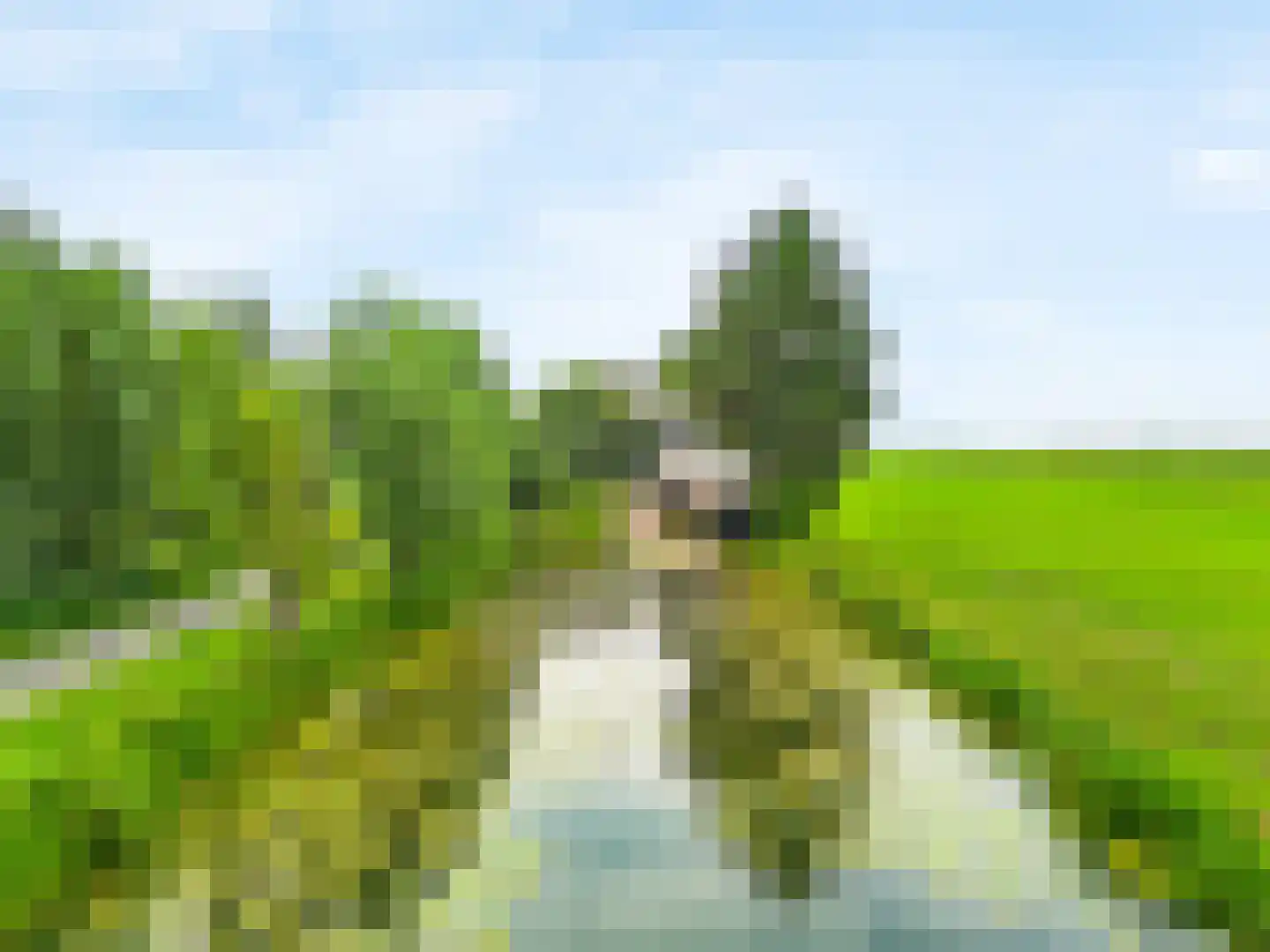 Houtdijkerpad 5 Kamerik thumbnail 43