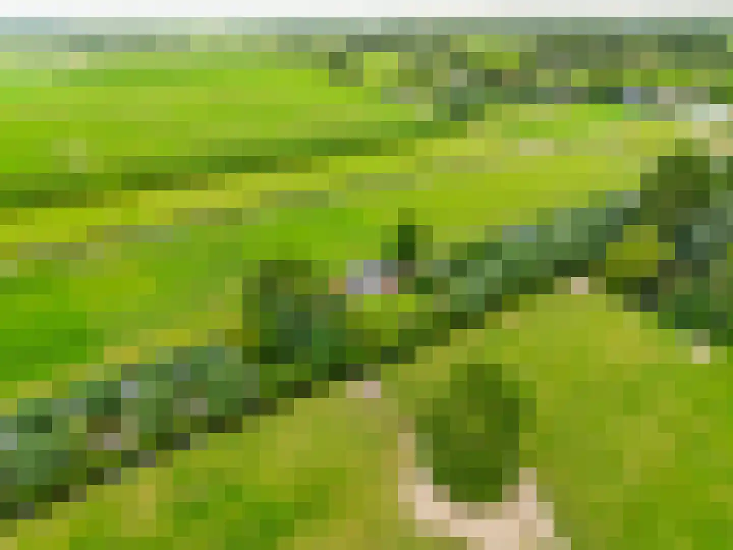 Houtdijkerpad 5 Kamerik thumbnail 46