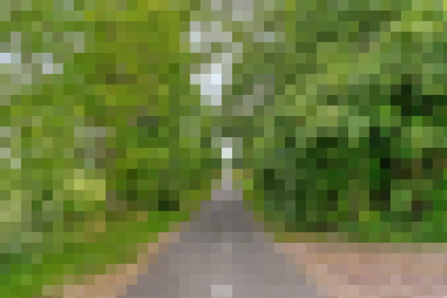 Houtdijkerpad 5 Kamerik thumbnail 48