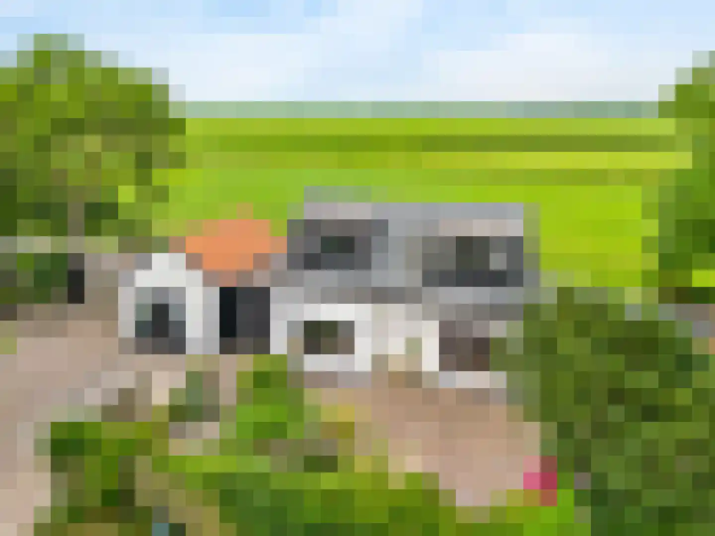 Houtdijkerpad 5 Kamerik thumbnail 5