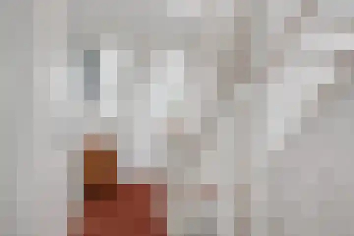 Houtdreef 21 Varsseveld thumbnail 33