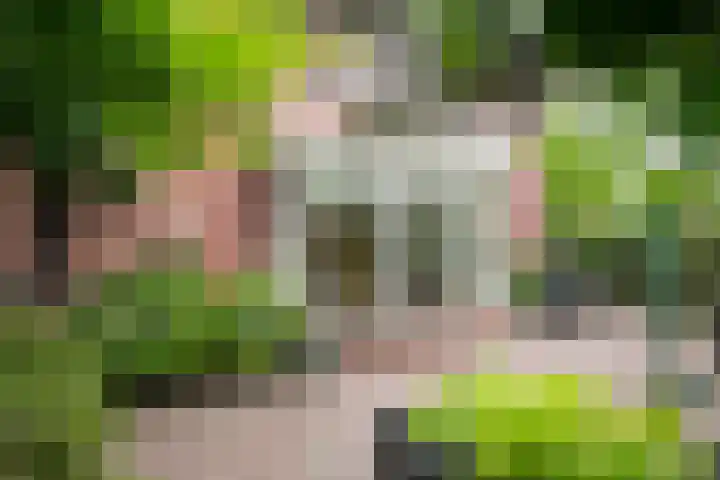Houtdreef 21 Varsseveld thumbnail 40