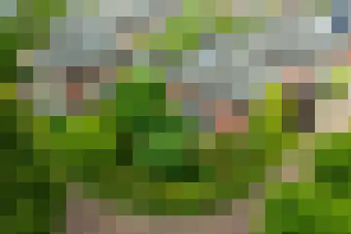 Houtdreef 21 Varsseveld thumbnail 43