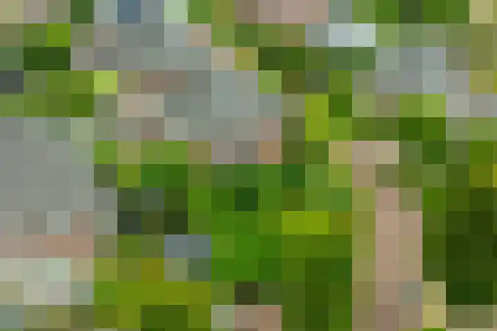 Houtdreef 21 Varsseveld thumbnail 44
