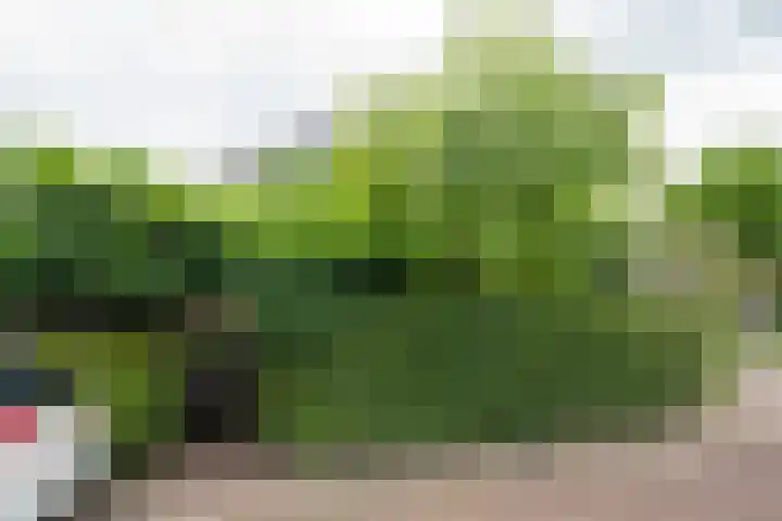 Houtdreef 21 Varsseveld thumbnail 45