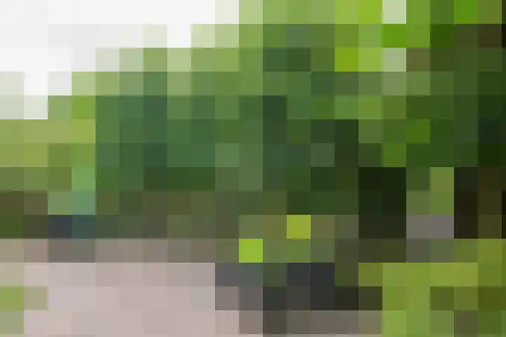 Houtdreef 21 Varsseveld thumbnail 46