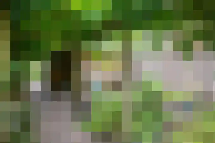 Houtdreef 21 Varsseveld thumbnail 47