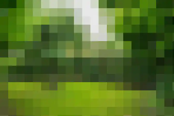 Houtdreef 21 Varsseveld thumbnail 48