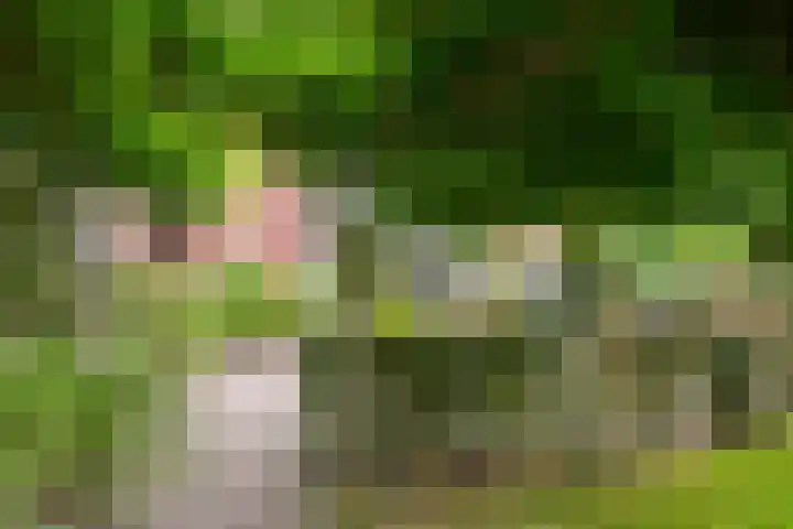 Houtdreef 21 Varsseveld thumbnail 49