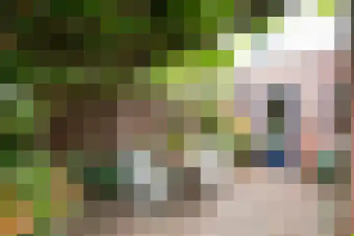 Houtdreef 21 Varsseveld thumbnail 50