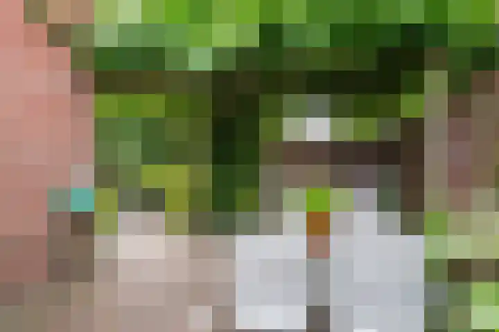 Houtdreef 21 Varsseveld thumbnail 51