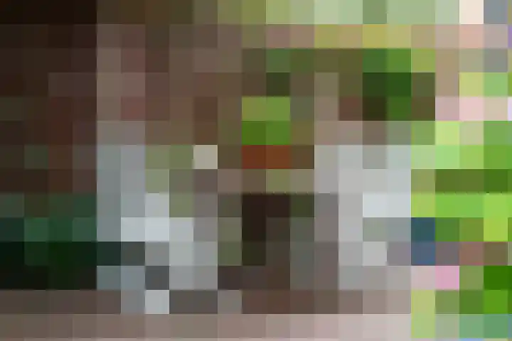 Houtdreef 21 Varsseveld thumbnail 53