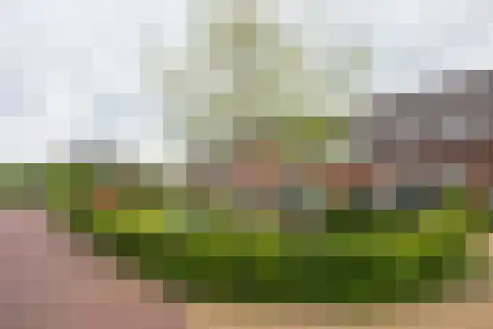 Houtdreef 21 Varsseveld thumbnail 54