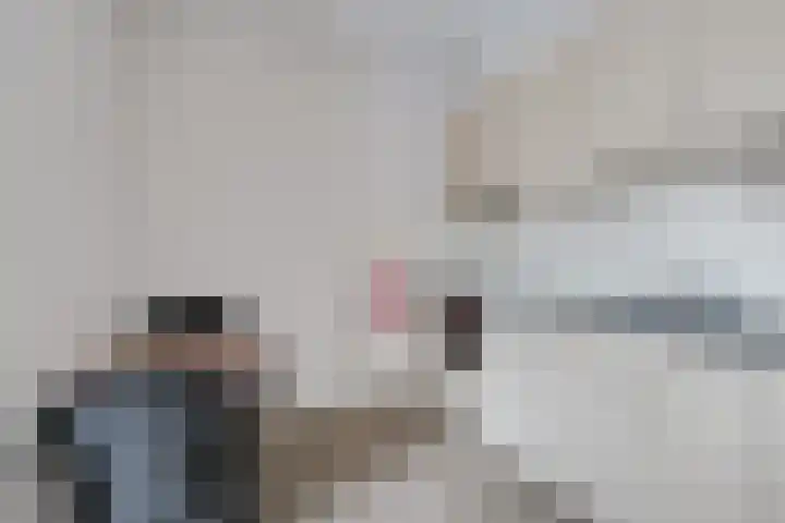 Houtdreef 28 Varsseveld thumbnail 19