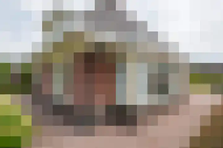 Houtdreef 28 Varsseveld thumbnail 36