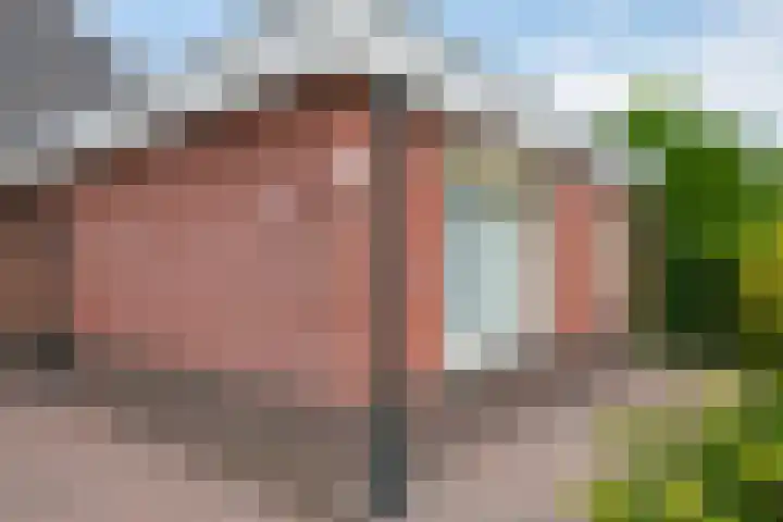 Houtdreef 28 Varsseveld thumbnail 38