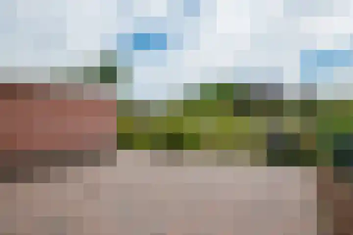 Houtdreef 28 Varsseveld thumbnail 40