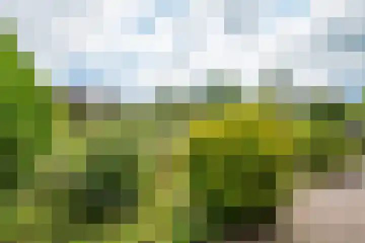 Houtdreef 28 Varsseveld thumbnail 41