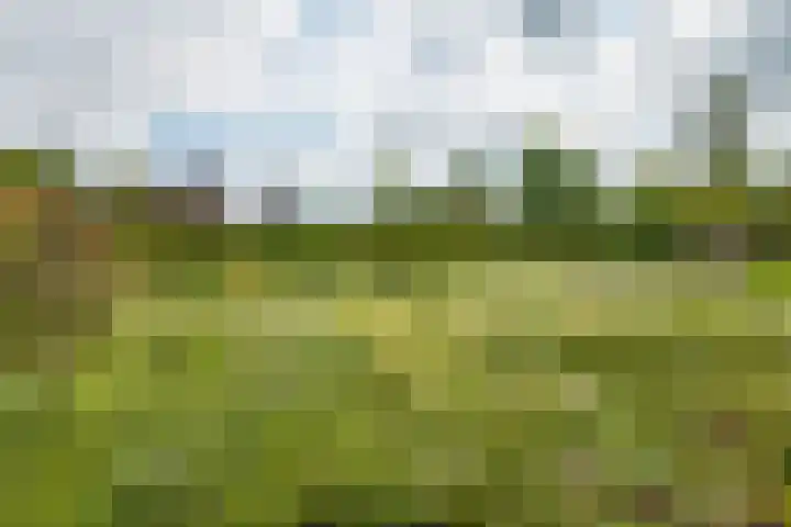 Houtdreef 28 Varsseveld thumbnail 42