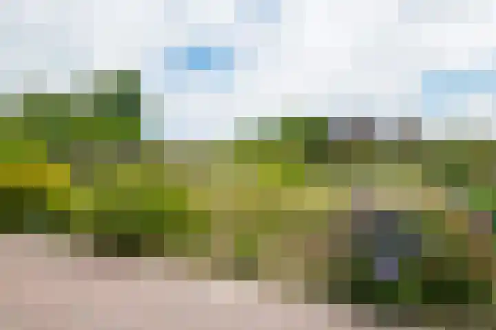 Houtdreef 28 Varsseveld thumbnail 43