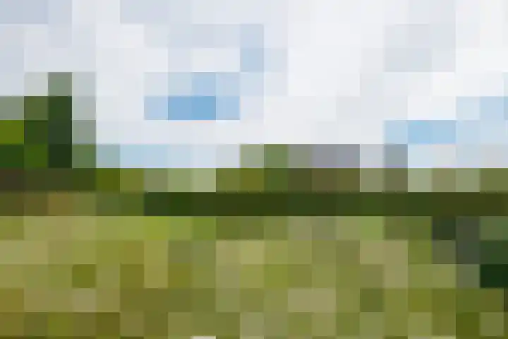 Houtdreef 28 Varsseveld thumbnail 44