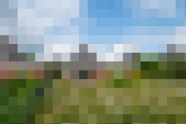 Houtdreef 28 Varsseveld thumbnail 45