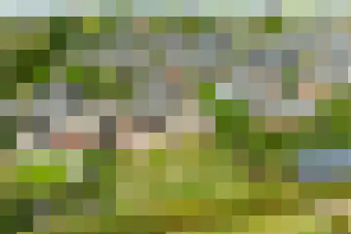 Houtdreef 28 Varsseveld thumbnail 46