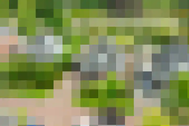 Houtdreef 28 Varsseveld thumbnail 47