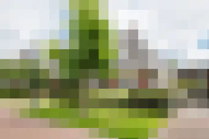 Houtdreef 28 Varsseveld thumbnail 49