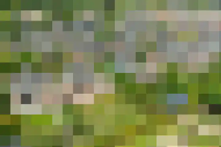 Houtdreef 28 Varsseveld thumbnail 5