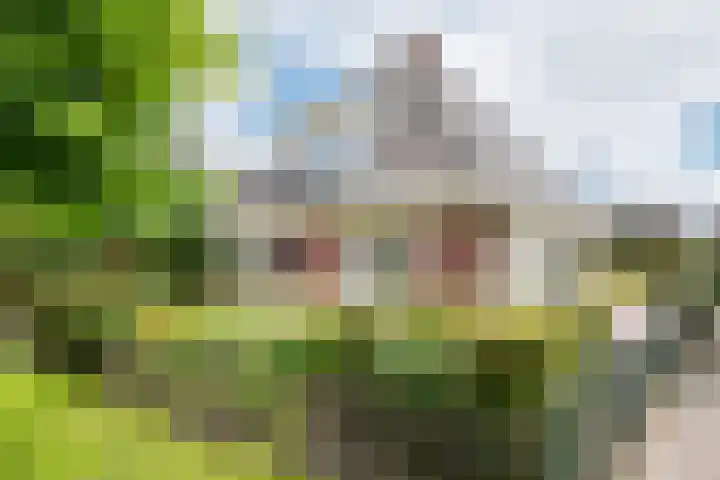 Houtdreef 28 Varsseveld thumbnail 6