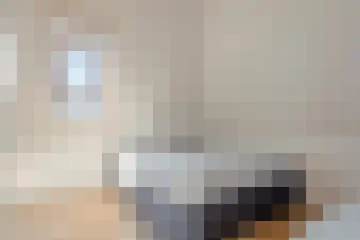 Houtdreef 46 Varsseveld thumbnail 29