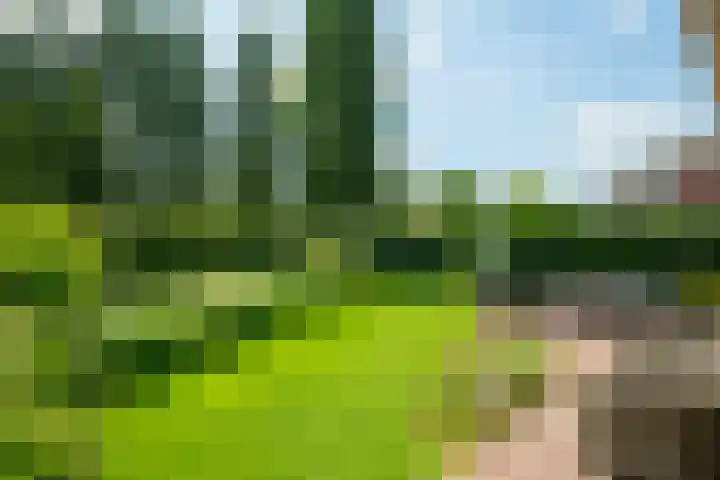 Houtdreef 46 Varsseveld thumbnail 31