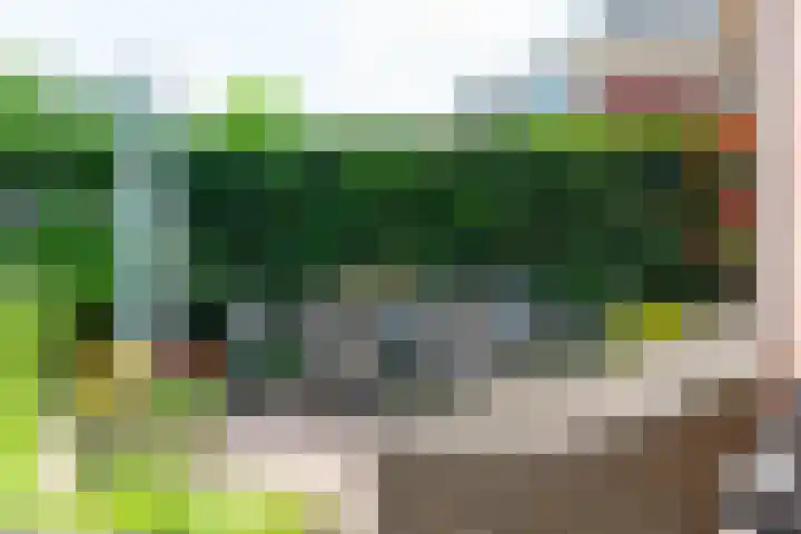 Houtdreef 46 Varsseveld thumbnail 32