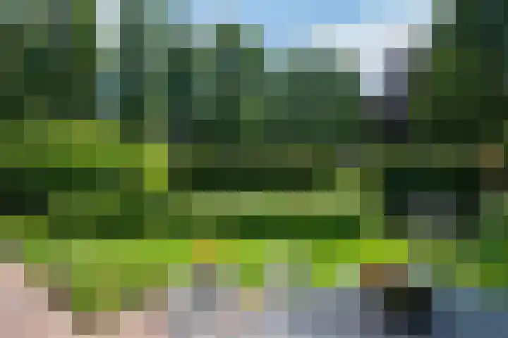 Houtdreef 46 Varsseveld thumbnail 33