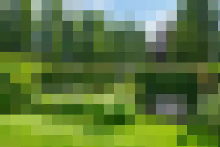 Houtdreef 46 Varsseveld thumbnail 34