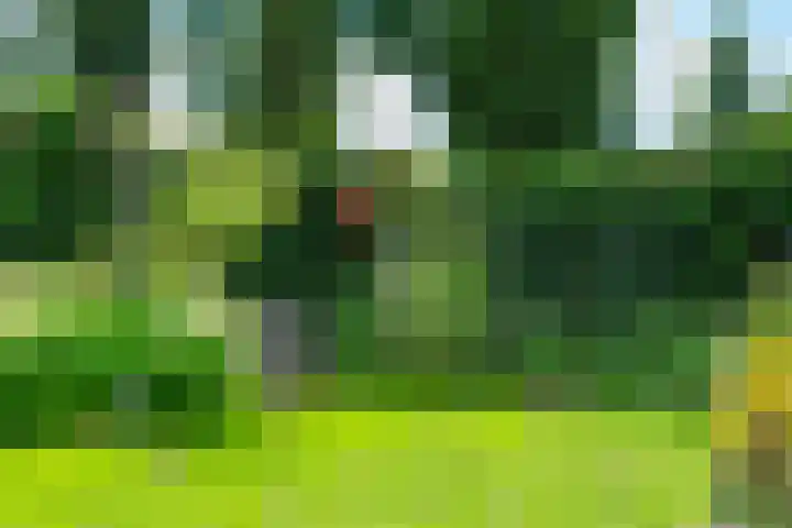 Houtdreef 46 Varsseveld thumbnail 35