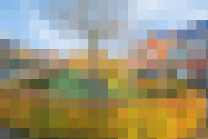 Houtdreef 46 Varsseveld thumbnail 38