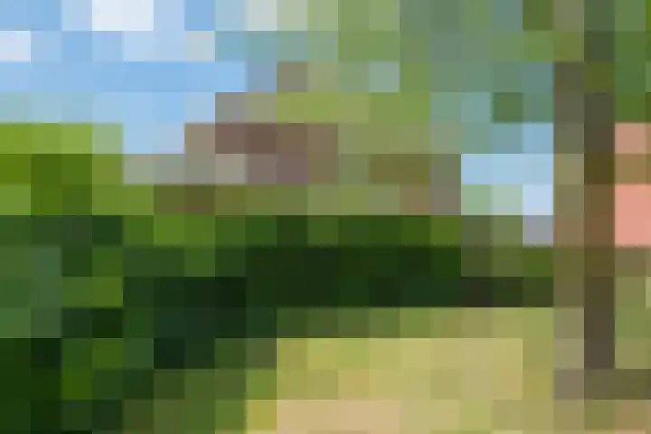 Houtdreef 46 Varsseveld thumbnail 40