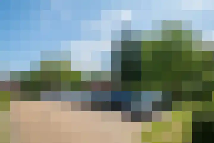 Houtdreef 46 Varsseveld thumbnail 41