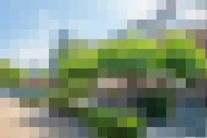 Houtdreef 46 Varsseveld thumbnail 42