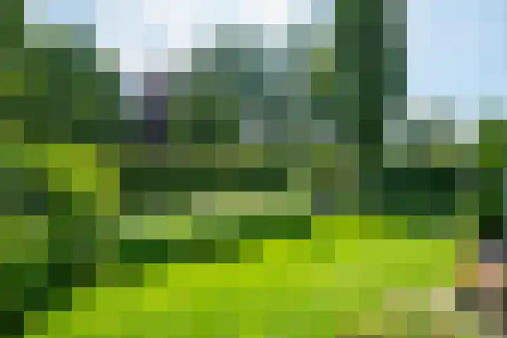Houtdreef 46 Varsseveld thumbnail 5