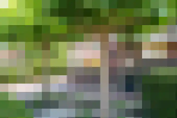 Houtdreef 46 Varsseveld thumbnail 7