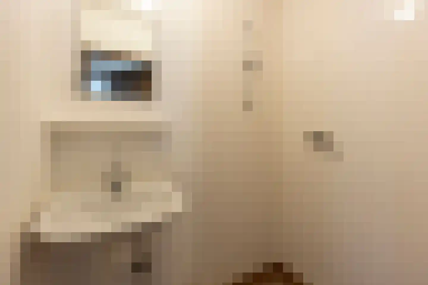 Houtduif 1 Nieuwegein thumbnail 13