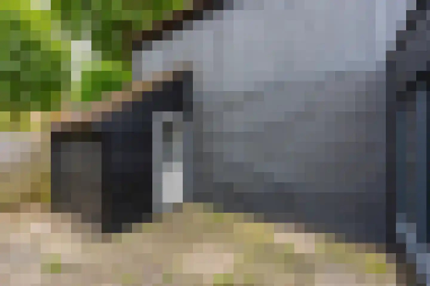 Houtduif 1 Nieuwegein thumbnail 18
