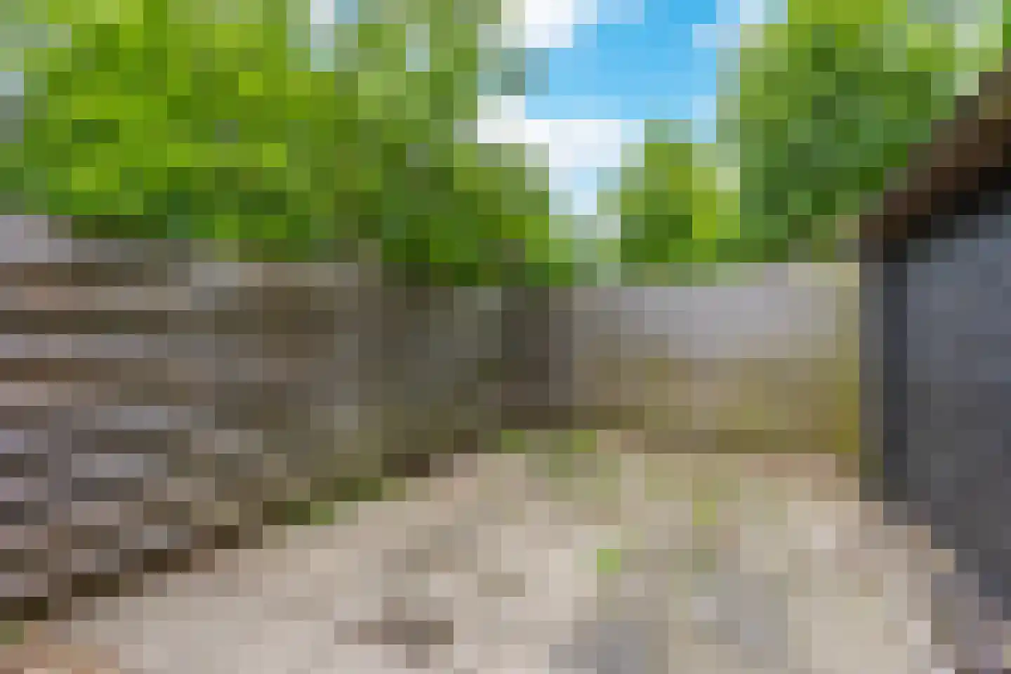Houtduif 1 Nieuwegein thumbnail 20
